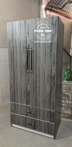 tủ 2 cánh màu mới