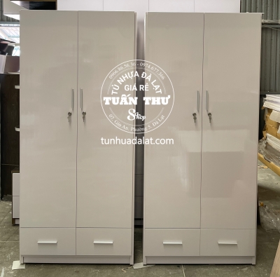 Tủ 2 cánh R53cm