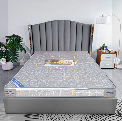 nệm Đông á Luxury 1m6 20F
