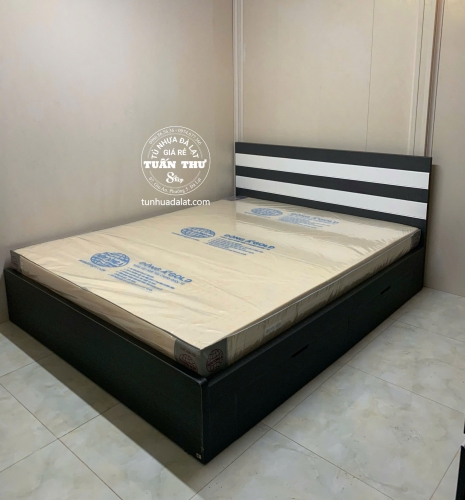 Nệm csn Đông á Gold 1.8m 15F