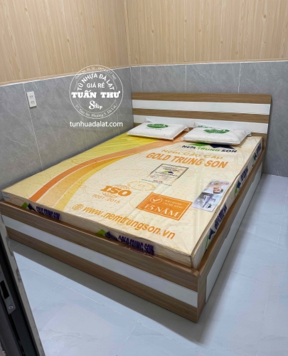Nệm gold Trung Sơn 1m6 10F