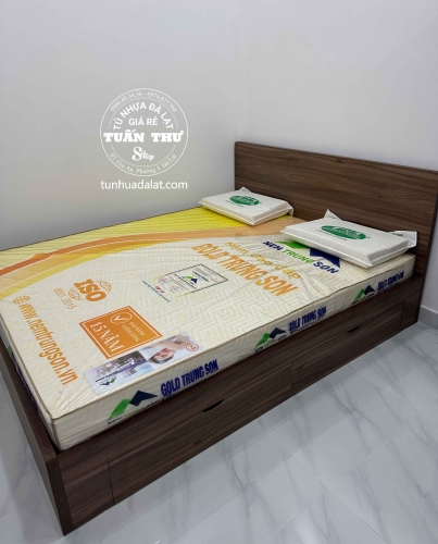 Nệm gold Trung Sơn 1m6 15F